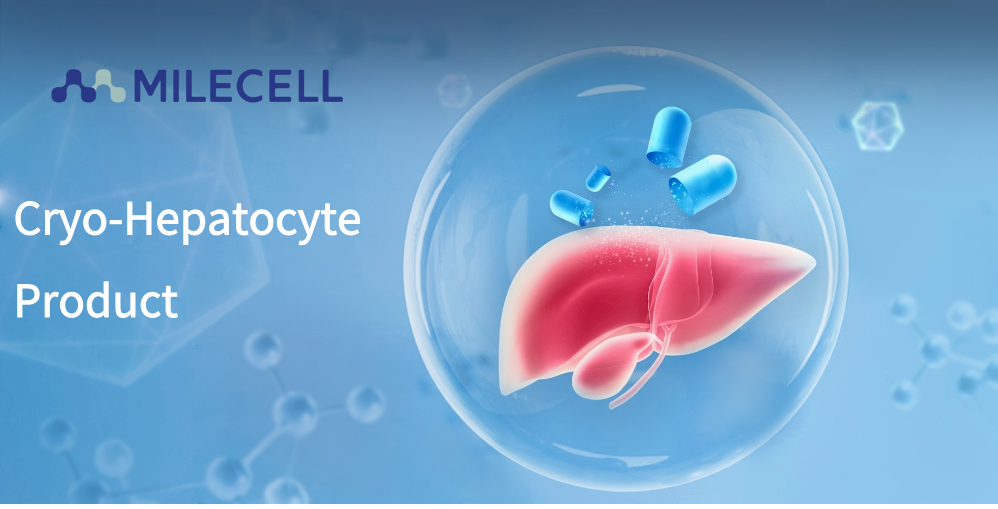 MileCell Cryo-Hepatocyte Product Features