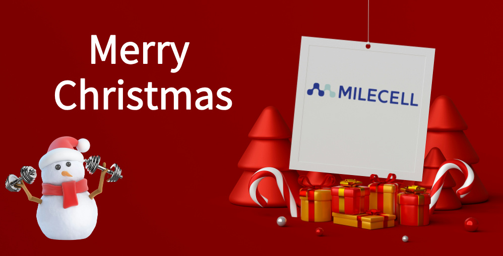 It's beginning to look a lot like Christmas!!!