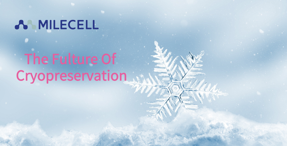 Revolutionize Your Cell Therapy Workflow with Kryogene&trade; &ndash; The Future of Cryopreservation