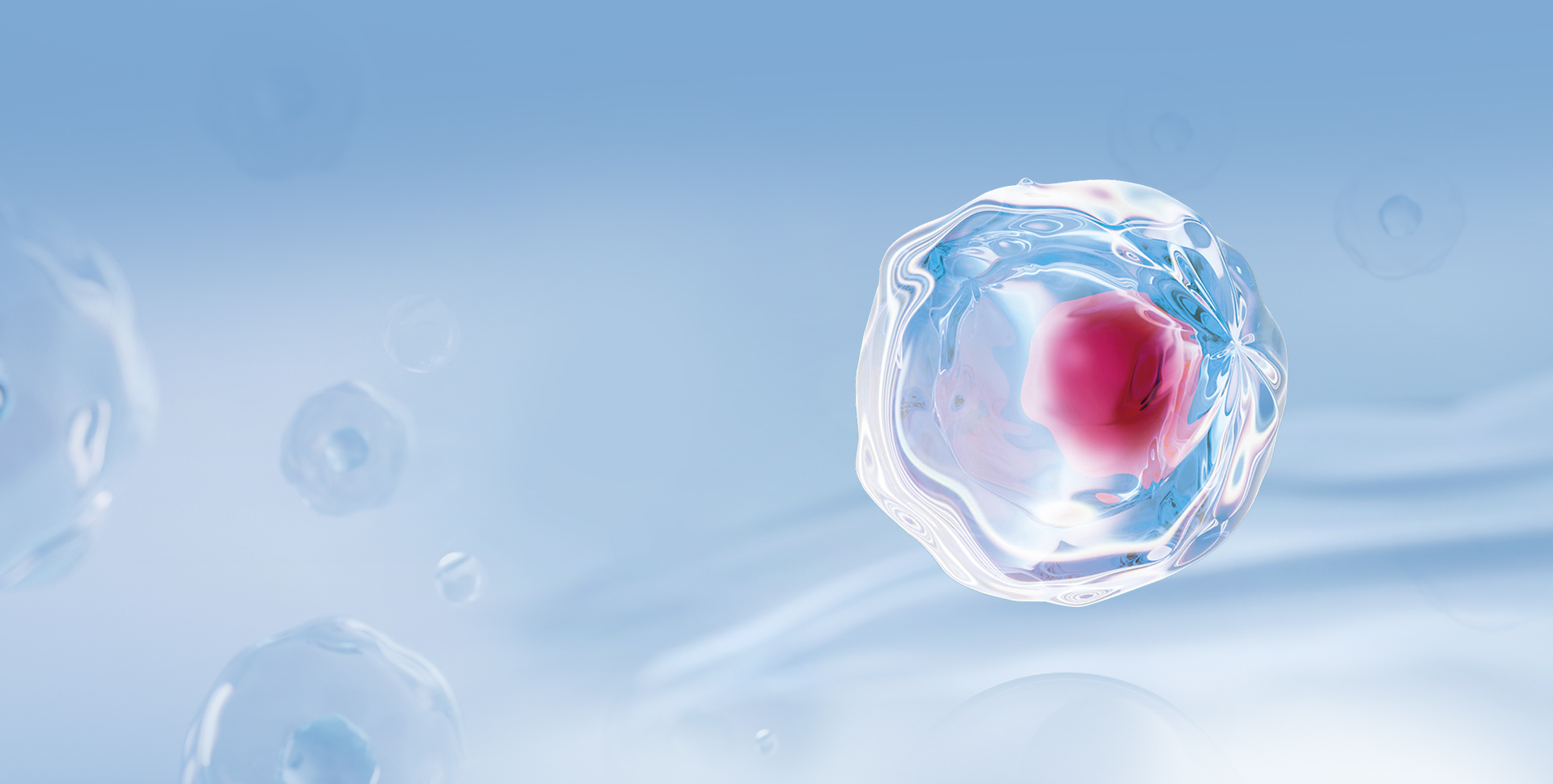 Animal Immune Primary Cells