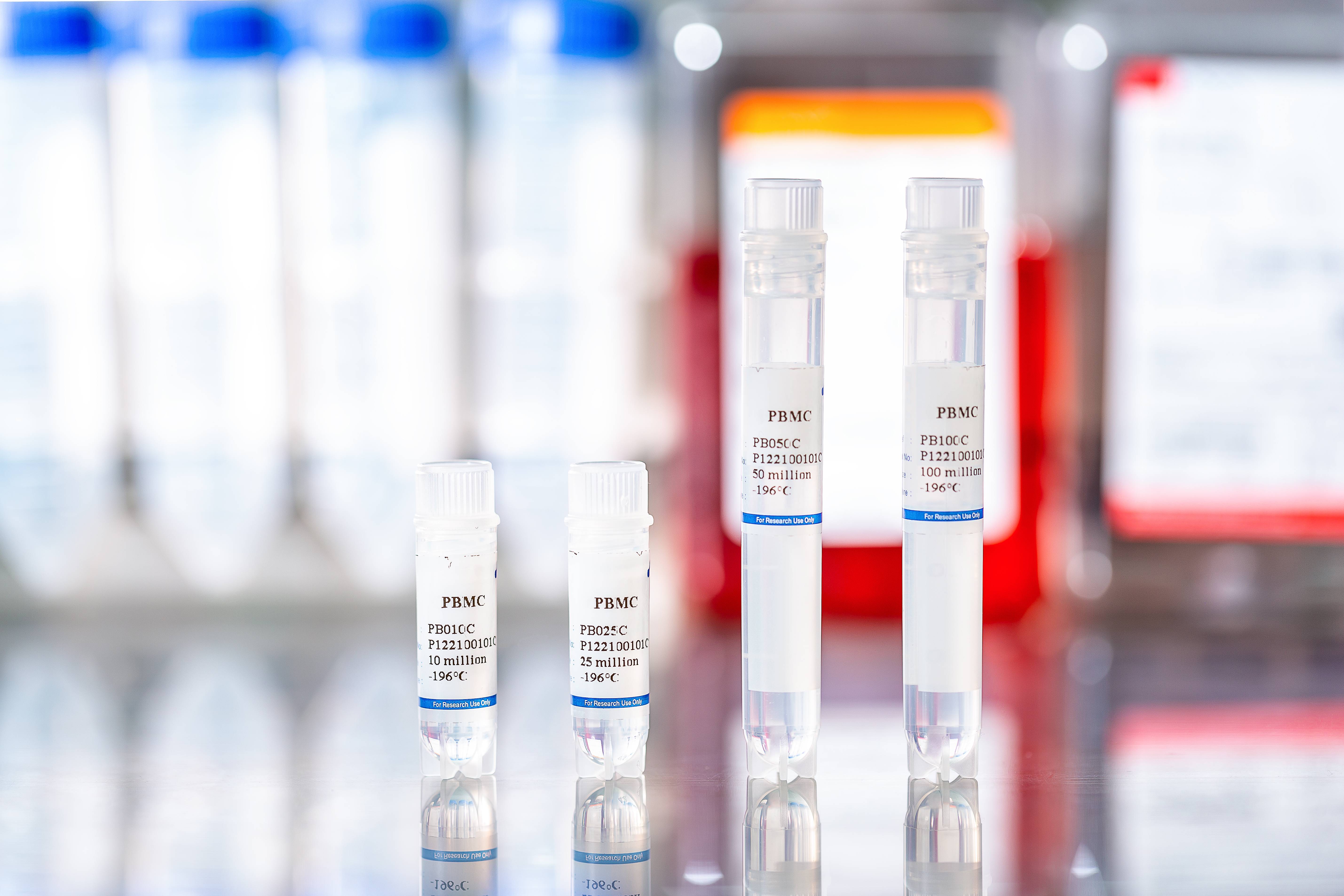 Applications of Animal-Derived PBMCs in Preclinical Research of New Drug Development