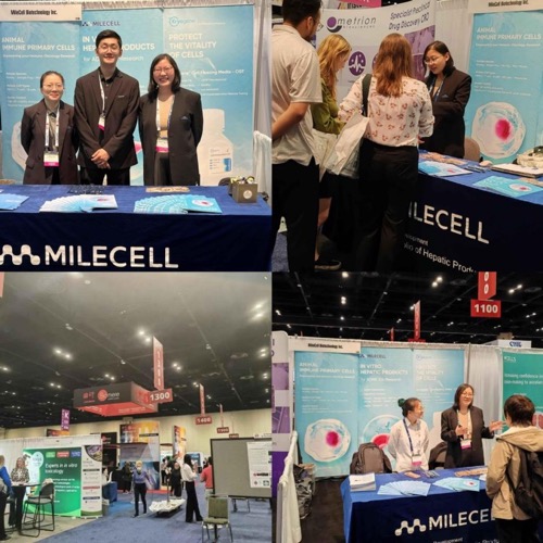 Global-Oriented：Milecell Shines at the 2025 SOT(图2)