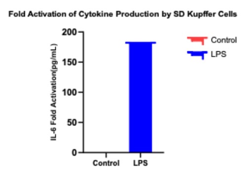Kupffer Cell-Based Solution Launches Globally(图3)