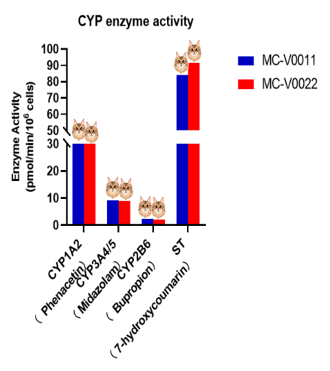 Maine Coon “Power Drives Miracles”.png