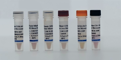Liver Subcellular Fractions(图1)
